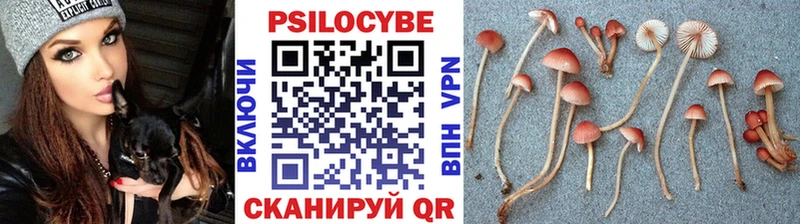 Галлюциногенные грибы ЛСД  магазин продажи   blacksprut онион  Долинск 